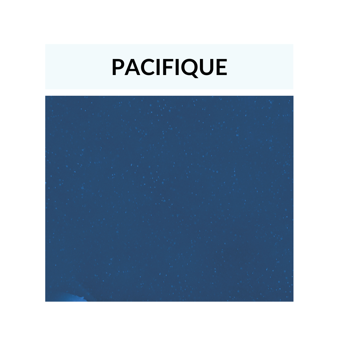 aquarino-pacifique aquarino-pacifique